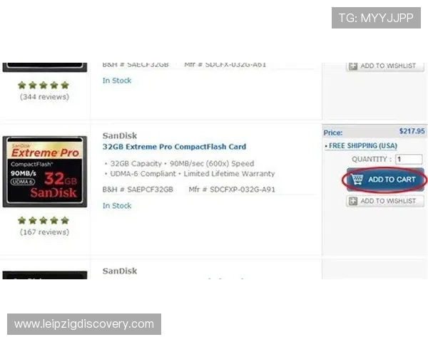 九博官网入口常见问题解答及登录流程详解助你轻松进入九博平台