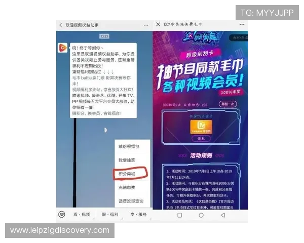 尊龙平台的会员制度详解,享受专属权益和个性化定制服务