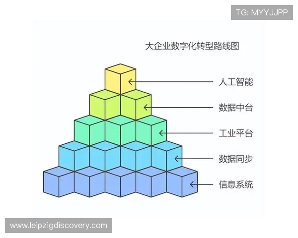 瑞丰体育未来发展趋势:体育行业数字化转型与创新应用深度剖析
