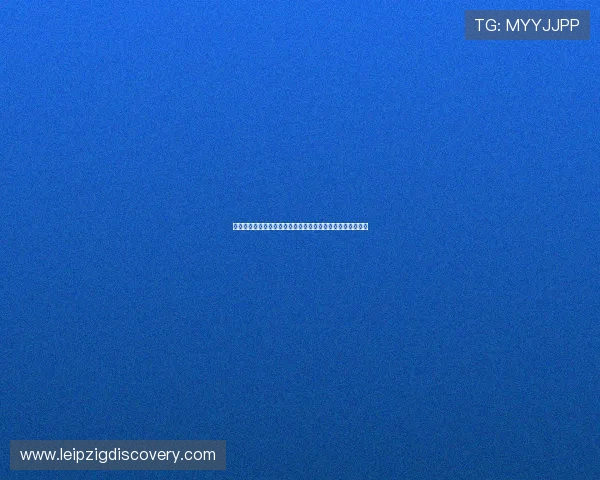 突尼斯对日本比赛阵容揭秘：双方战术安排与比赛关键点分析